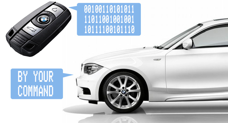 In only three minutes they stole a BMW