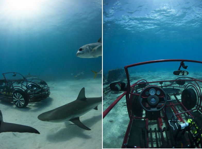 Beetle Convertible Shark Cage for Shark