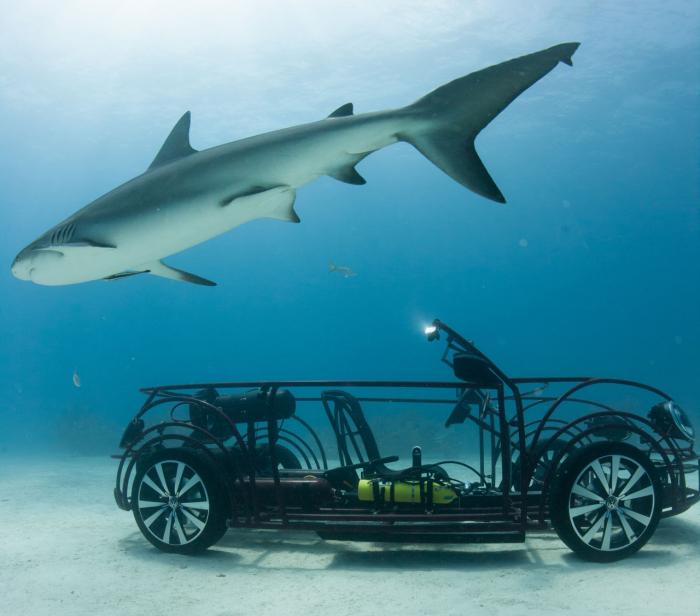 Volkswagen unveils Beetle Convertible shark cage