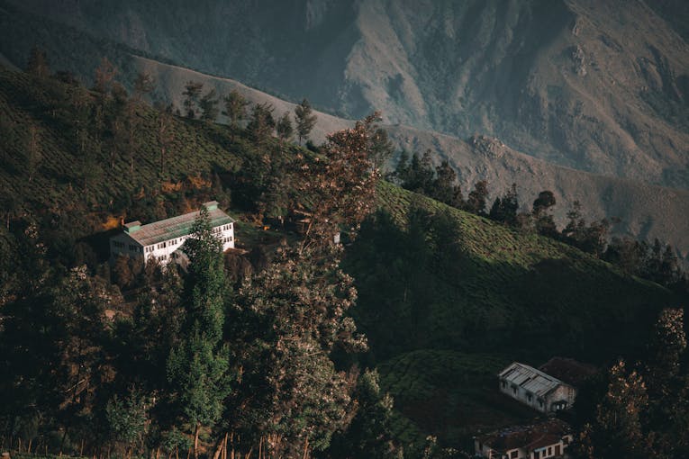 Munnar, Kerala