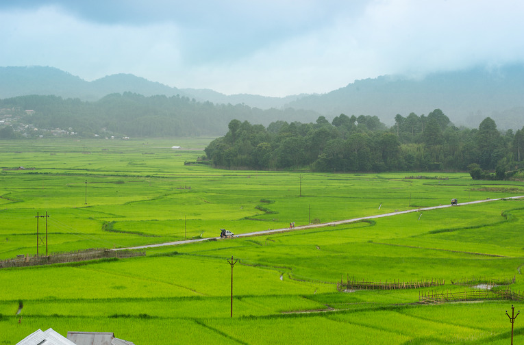 Ziro Valley, Arunachal Pradesh